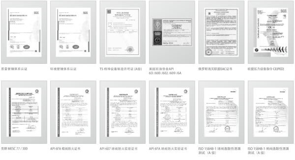 工业阀门制造商-浙江欧菲石油设备有限公司邀您共聚cippe2024(图2)