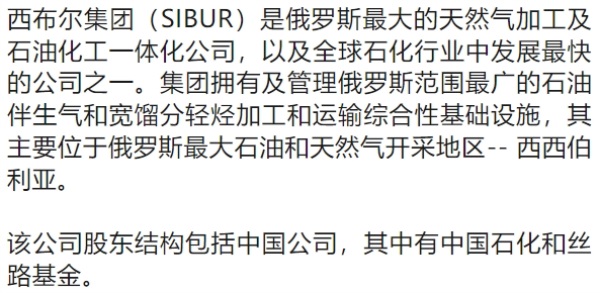 总理带队！鞑靼斯坦共和国携百亿采购需求现场洽谈(图4)