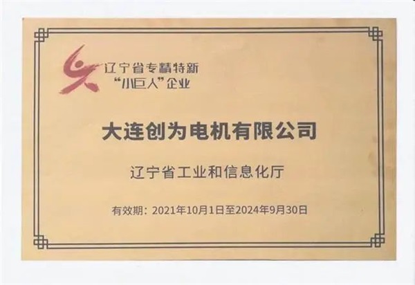 大連創為電機有限公司邀您共聚 cippe2024北京石油展(圖8)
