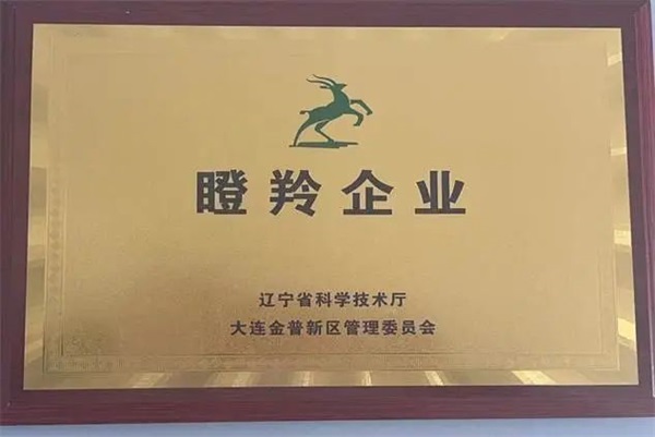 大連創為電機有限公司邀您共聚 cippe2024北京石油展(圖9)