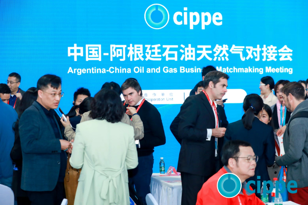 国际代表团参观cippe2024石油展(图4)